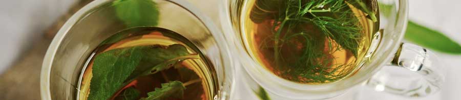 Fruit and herb-infused water