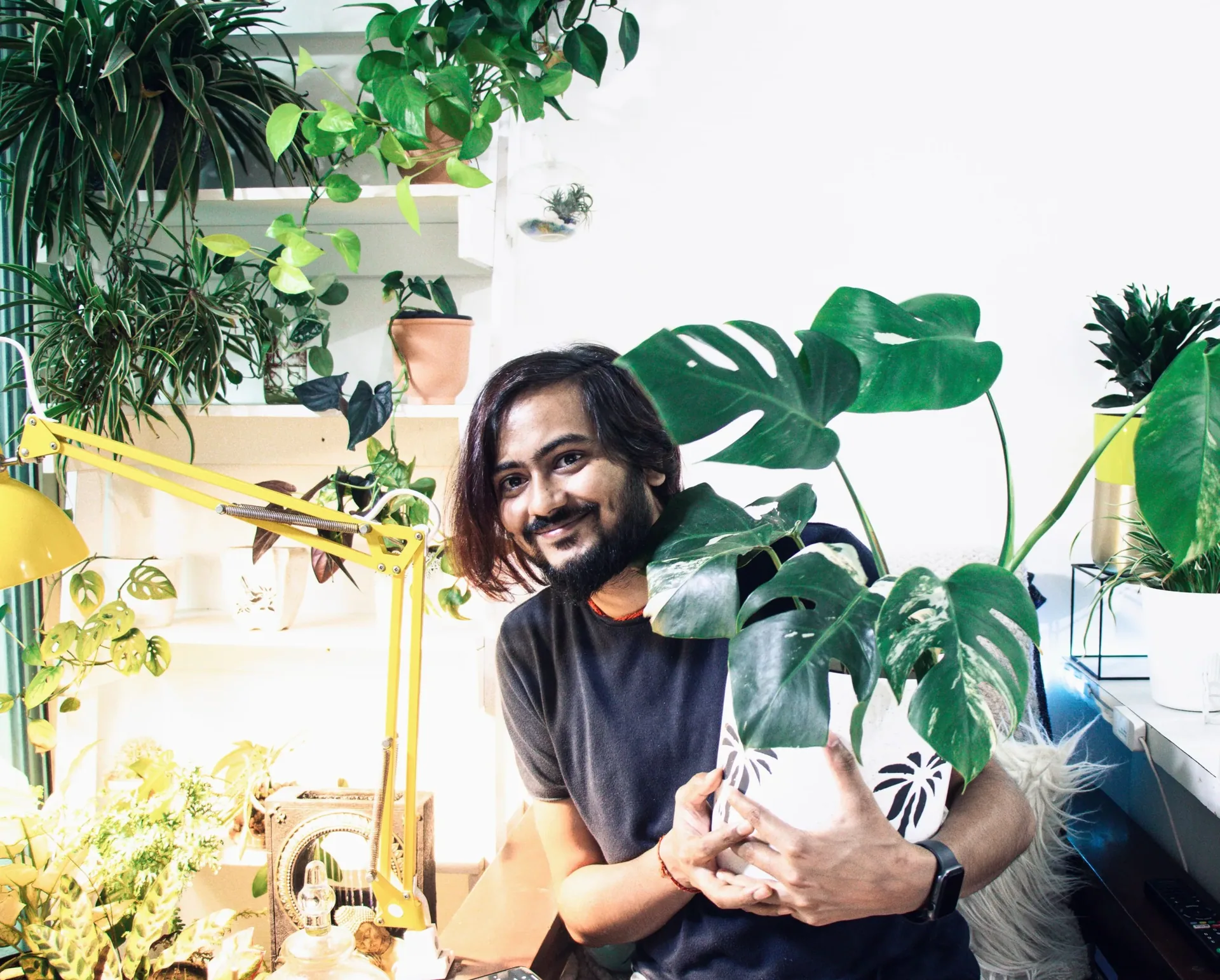 Sober Activity Series: An Introductory Guide to Houseplants