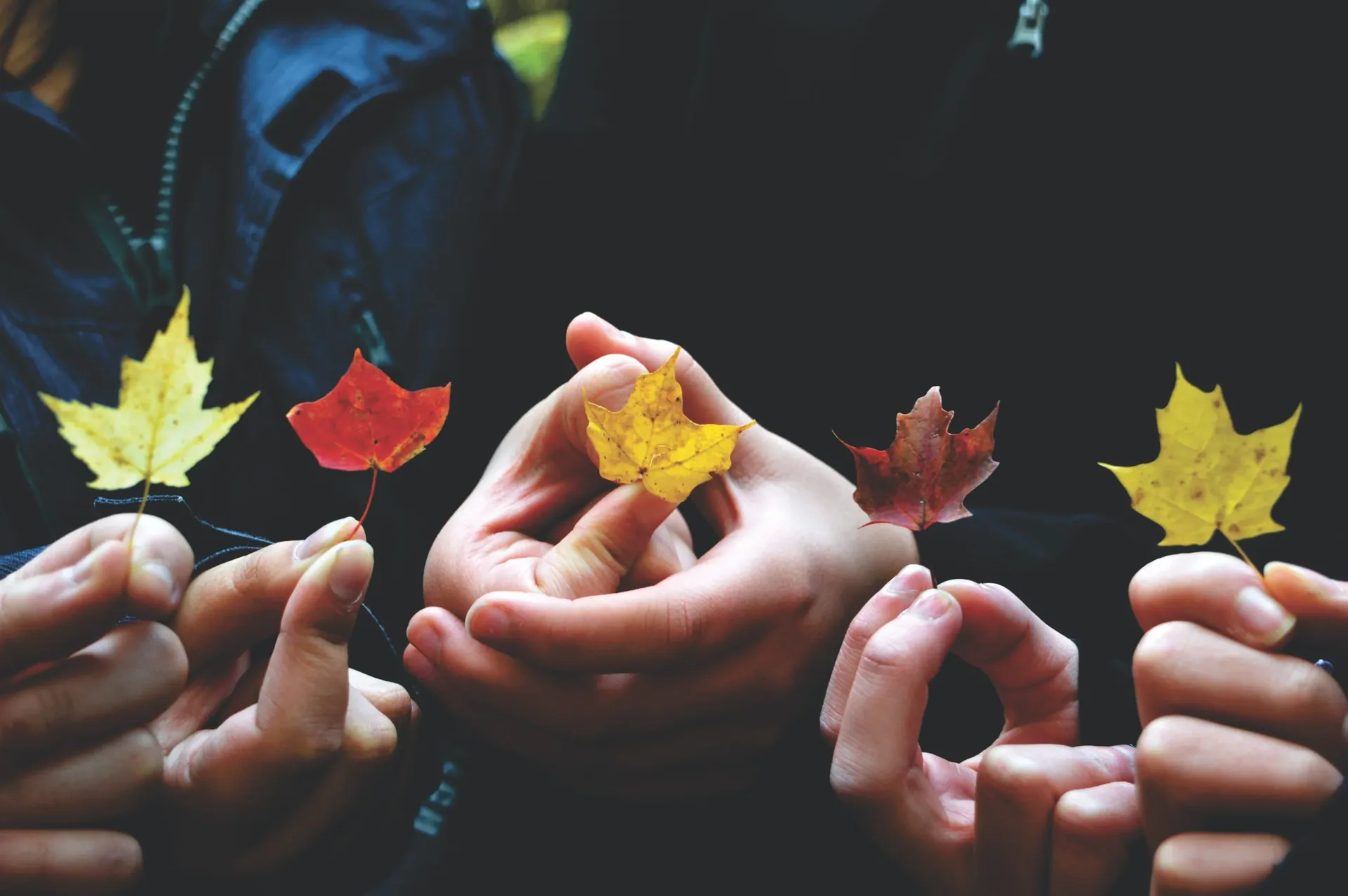 Beating the Winter Blues: How to Overcome Seasonal Depression and Stay Sober
