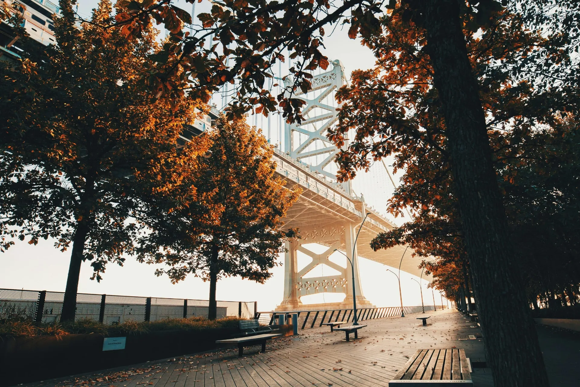 Autumn trees along the Delaware River with the Ben Franklin Bridge.