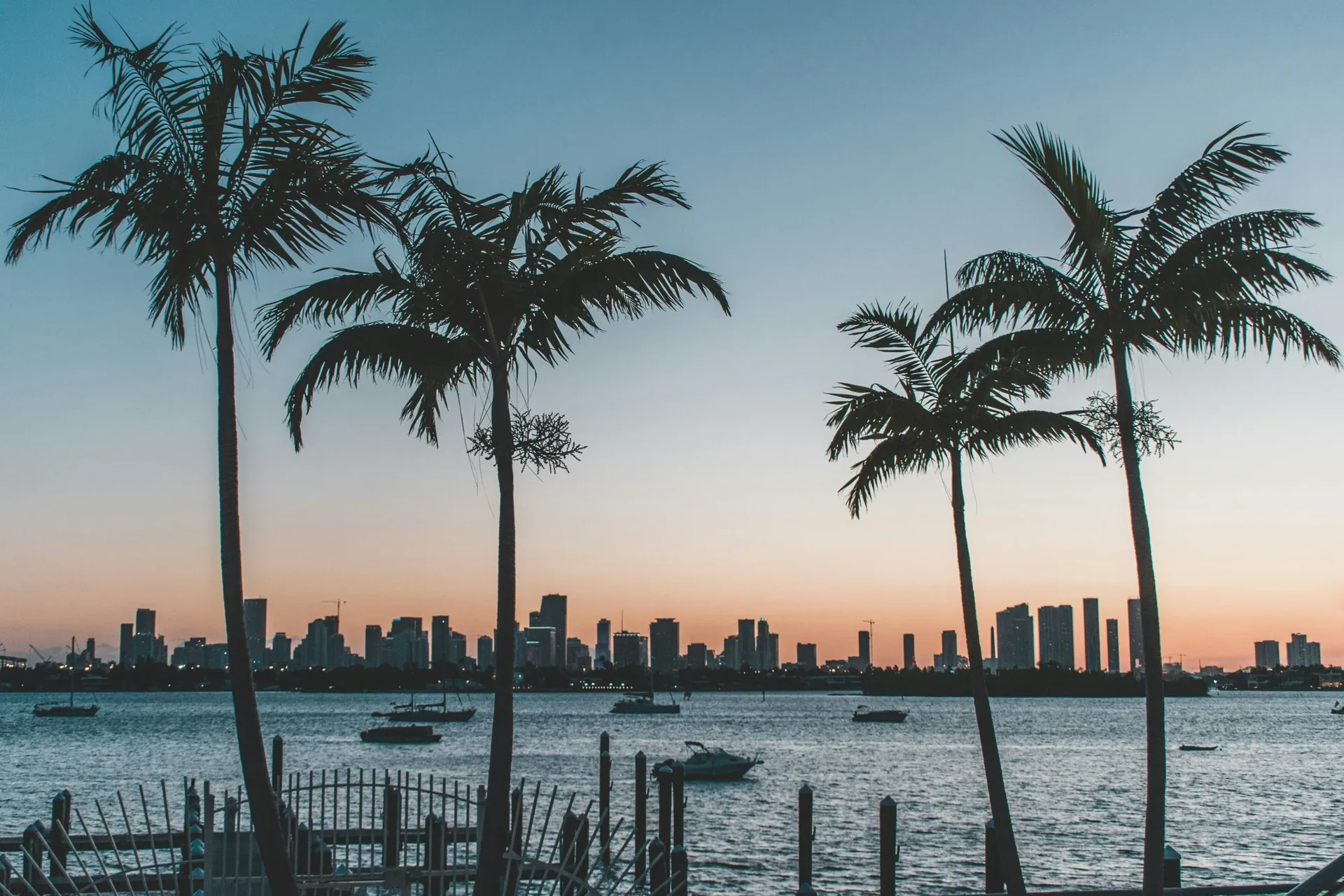Miami skyline at sunset behind palm trees, symbolizing recovery and renewal.