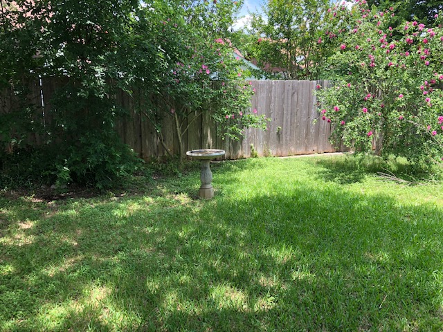 Backyard at Eudaimonia’s Parkfield Drive women’s sober living home in Austin with shaded lawn and birdbath.