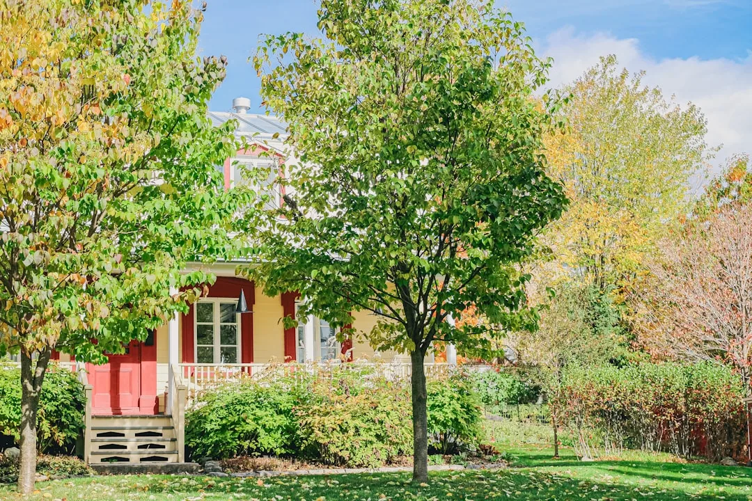 A yellow house with red trim surrounded by trees. -- Photo by Compagnons on Unsplash