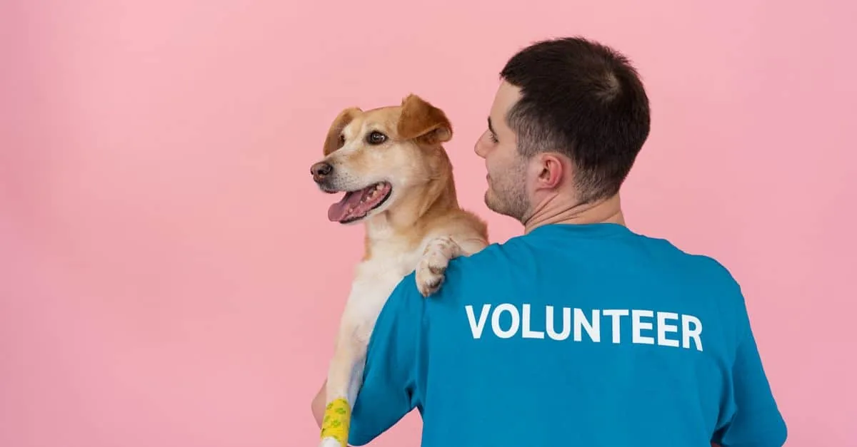 A cheerful volunteer holding a happy dog against a pink background.