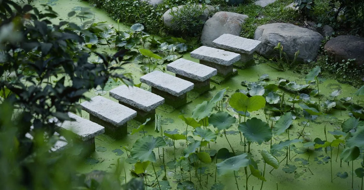Tranquil garden scene with stone steps over a pond in Hsinchu City, Taiwan, surrounded by lush greenery.