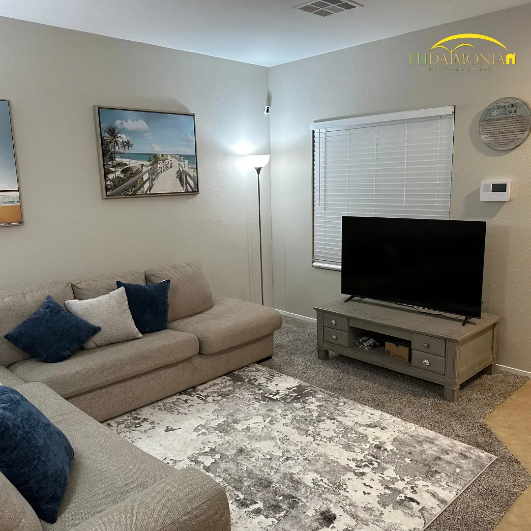 Living room with a sofa, television and blue cushions.