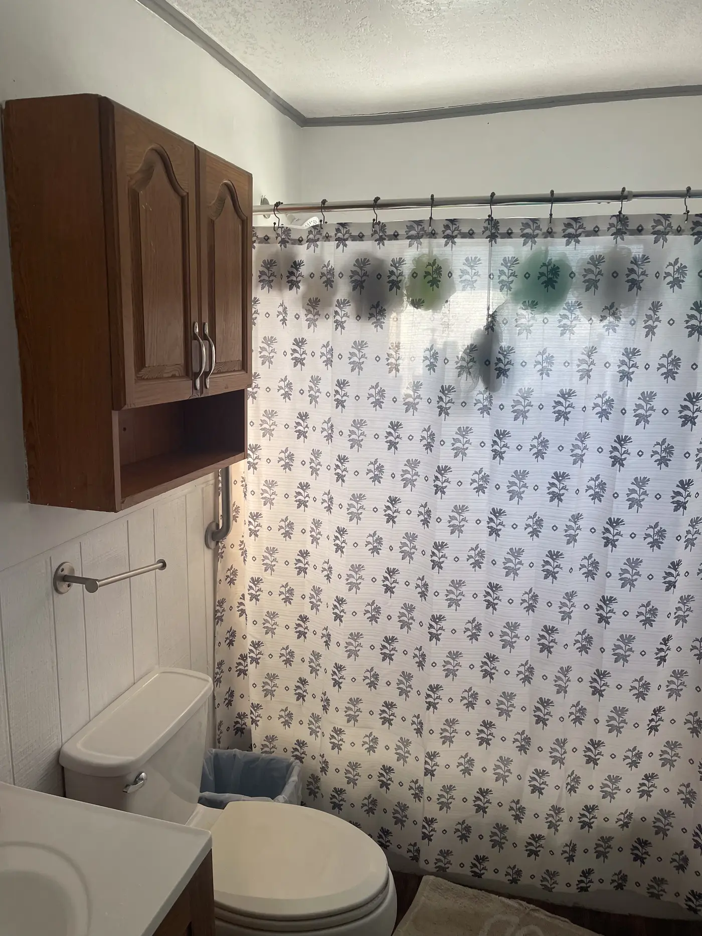 Bathroom with a shower curtain and a wall cabinet.