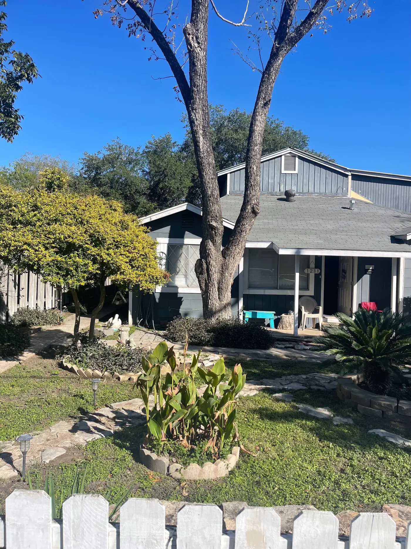 Front of the gray house behind a white picket fence and a cactus bed.