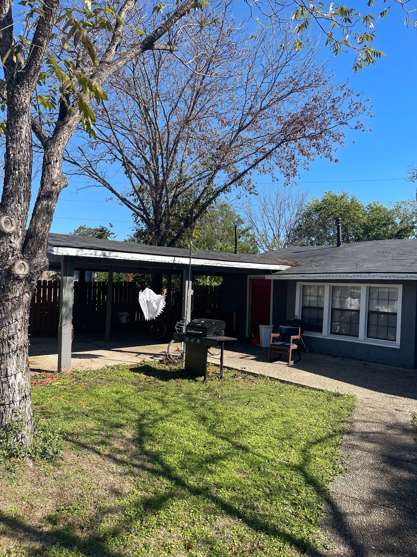 Front yard with a tree and the carport beyond.
