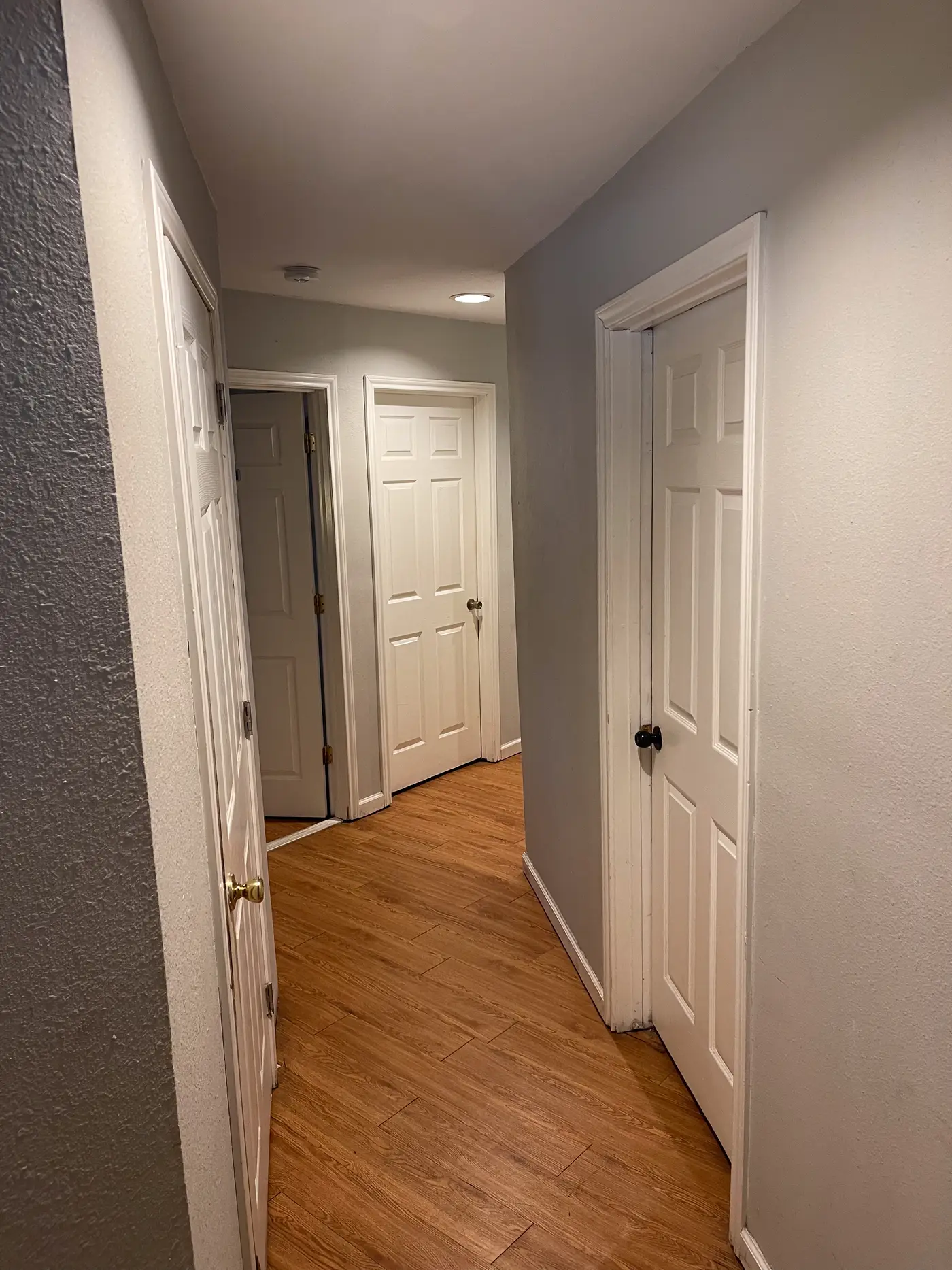 Hallway with paneled doors on wood flooring.