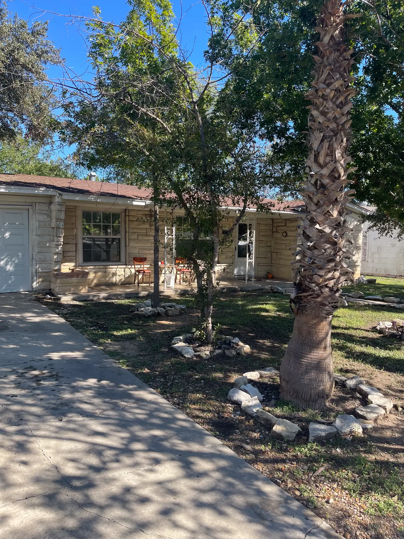 Front yard with a palm and the house beyond.